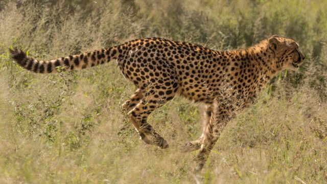 クラシックギターの速弾き Imの速度 の練習方法を考える クラシックギターの世界